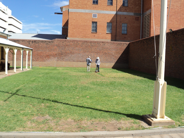 GPR being collected over the site.