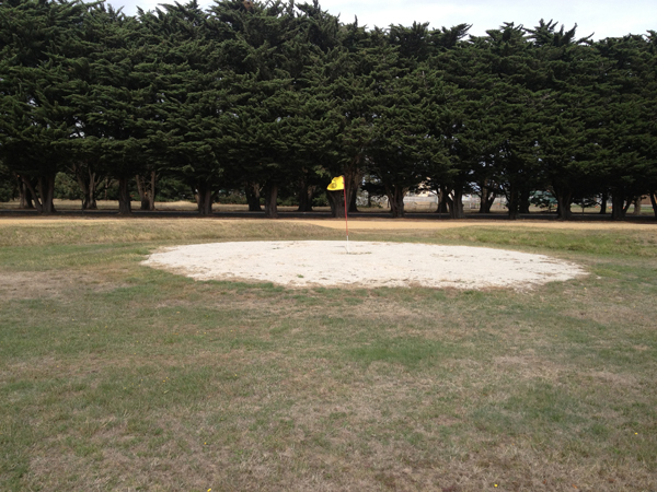 A golf flag was present onsite as the site was once used as a gold course.