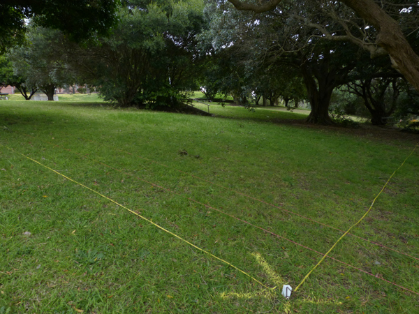 The site was marked up as a grid prior to commencing work.