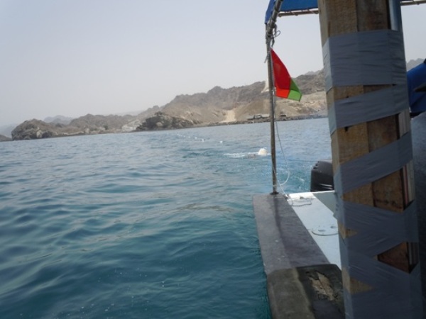 Hydrophone  Streamer being towed behind a fiberglass boat.